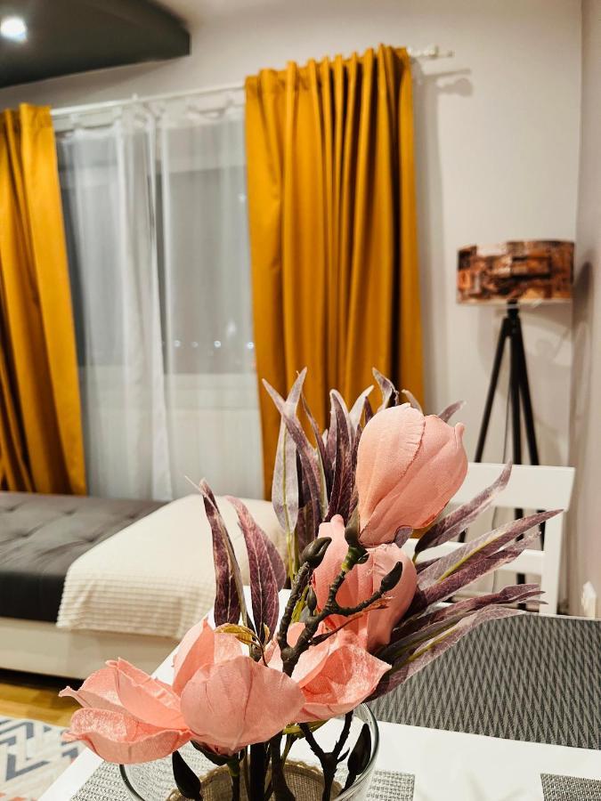 Confort View Apartment Iasi - 3 Rooms-Like Home Exterior photo